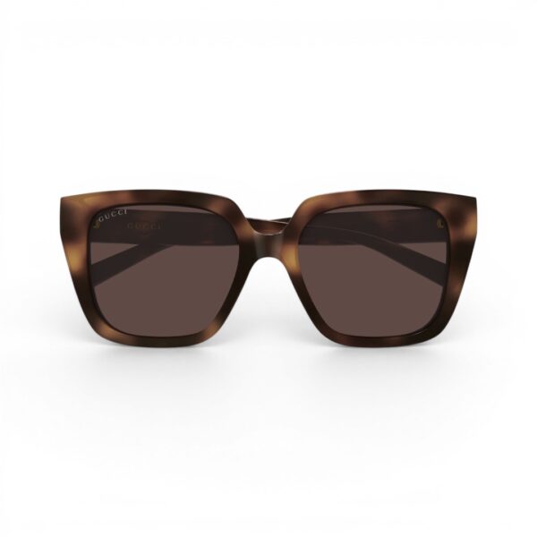 Gucci GG2102S 002 Havana Brown 54/18 - Occhiali da sole | Ottica Zambrelli Parma