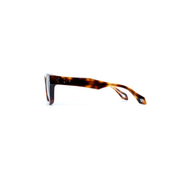 Daizo Pete Havana Classic Brown 49/22 - Occhiali da sole - foto 3 | Ottica Zambrelli Parma
