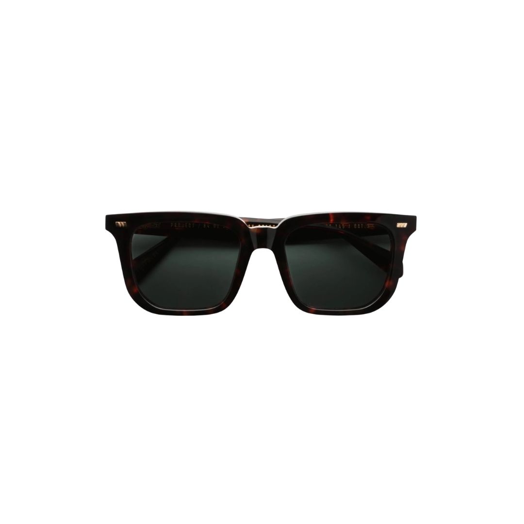 Gast Certo Classic Havana crt02 53/20 - Occhiali da sole | Ottica Zambrelli Parma