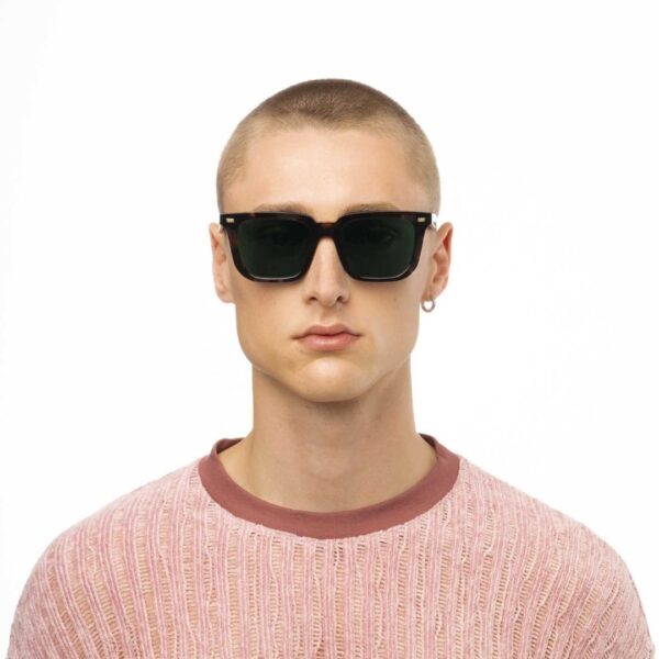 Gast Certo Classic Havana crt02 53/20 - Occhiali da sole - foto 4 | Ottica Zambrelli Parma