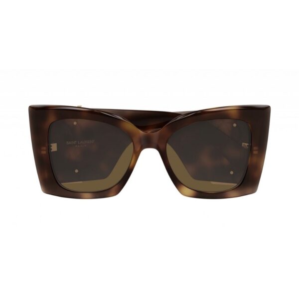 Saint Laurent SL M 119 Blaze 005 Havana Brown 54/18